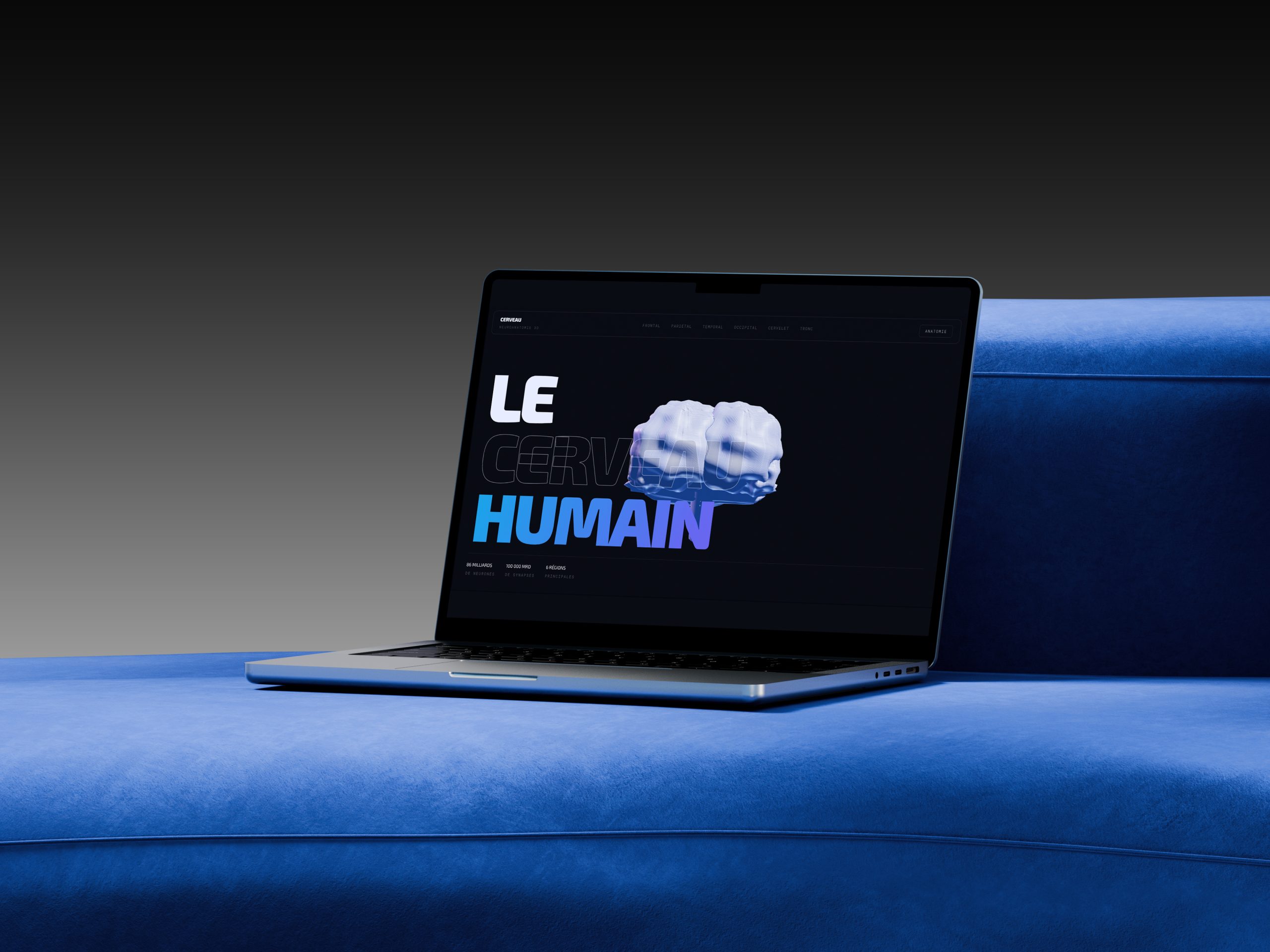 Le Cerveau Humain